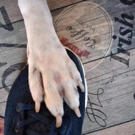 דירה Casa La Rondine *