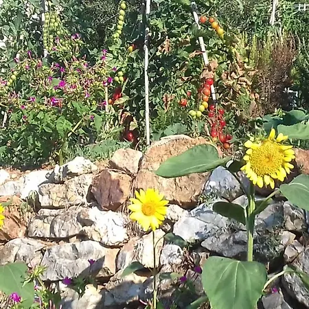 Casa La Rondine *