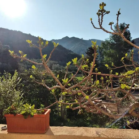 Casa La Rondine Appartement