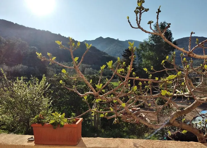 Casa La Rondine Appartement