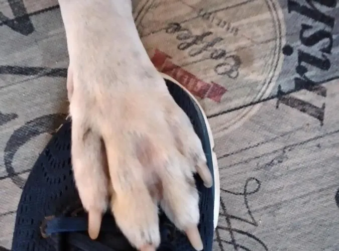 Appartement Casa La Rondine *